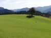 AufZurEiche.jpg