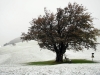 BeimSchneeherrgott.jpg