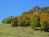 DaHerbstKimmt.jpg