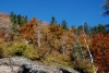 HerbstlicheFarbenspiele.jpg