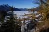 LaerchenUndNebelmeer.jpg