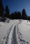 LonesomeTrail.jpg