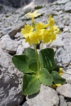 PetergstammWasserofenboden.jpg