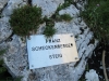 Scheckenbergersteig.jpg