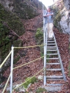 StiegeBeimRinnerbergerWasserfall.jpg