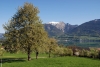 StreuobstUndSchafberg.jpg