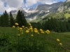 Wurzeralm2017.jpg